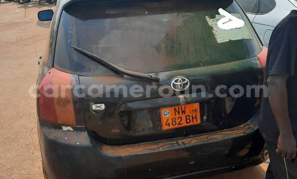 Buy Used Toyota Runx Black Car in Yaounde in Central Cameroon Buy Used Toyota Runx Black Car in Yaounde in Central Cameroon