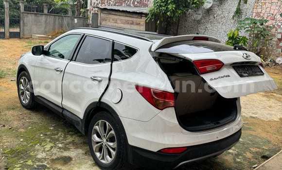 Buy Used Hyundai Santa Fe White Car in Douala in Littoral Cameroon