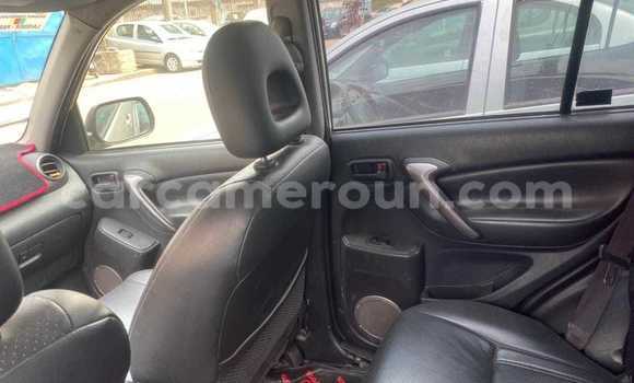 Sayi Na hannu Toyota RAV4 Sauran Mota in Bafang a West Kamaru Sayi Na hannu Toyota RAV4 Sauran Mota in Bafang a West Kamaru