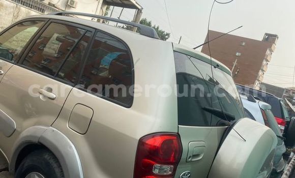 Sayi Na hannu Toyota RAV4 Sauran Mota in Bafang a West Kamaru Sayi Na hannu Toyota RAV4 Sauran Mota in Bafang a West Kamaru