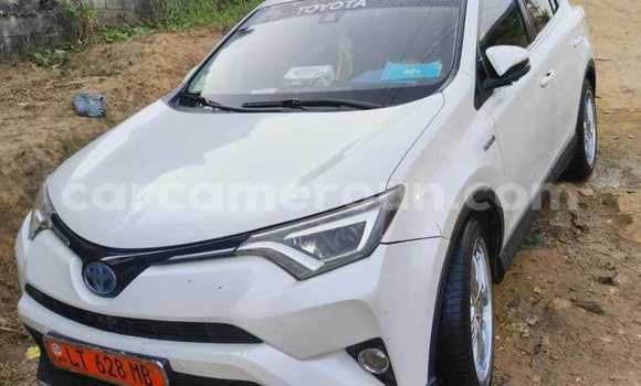Acheter Occasion Voiture Toyota RAV4 Blanc à Douala, Littoral Cameroon