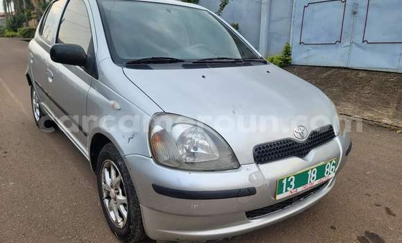 Buy Used Toyota Yaris Silver Car in Yaounde in Central Cameroon Buy Used Toyota Yaris Silver Car in Yaounde in Central Cameroon
