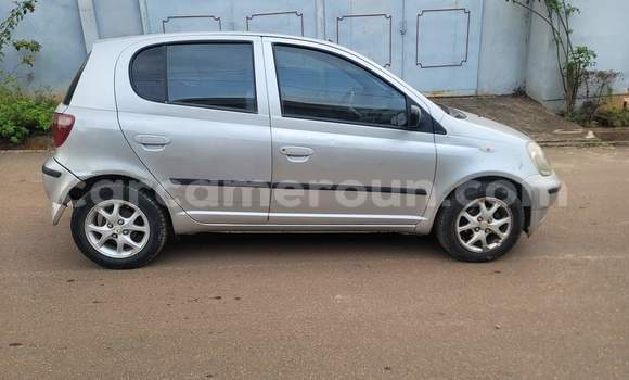 Buy Used Toyota Yaris Silver Car in Yaounde in Central Cameroon Buy Used Toyota Yaris Silver Car in Yaounde in Central Cameroon