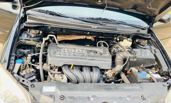 Buy Import Toyota Corolla Black Car in Douala in Littoral Cameroon Buy Import Toyota Corolla Black Car in Douala in Littoral Cameroon