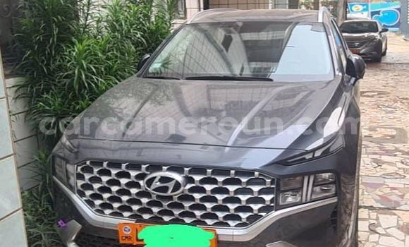 Acheter Occasion Voiture Hyundai Santa Fe Gris à Douala, Littoral Cameroon