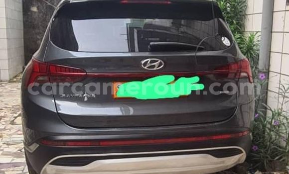 Acheter Occasion Voiture Hyundai Santa Fe Gris à Douala, Littoral Cameroon Acheter Occasion Voiture Hyundai Santa Fe Gris à Douala, Littoral Cameroon