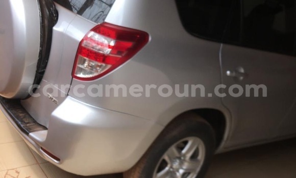 Buy Used Toyota RAV4 Silver Car in Yaounde in Central Cameroon