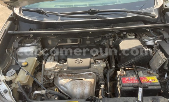 Buy New Toyota RAV4 Silver Car in Douala in Littoral Cameroon Buy New Toyota RAV4 Silver Car in Douala in Littoral Cameroon