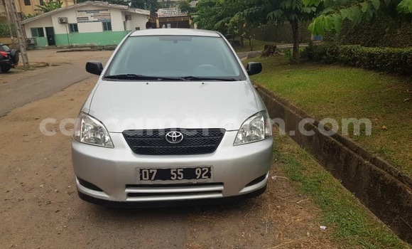 Sayi Sabo Toyota Corolla Azurfa Mota in Yaounde a Babban Kamaru