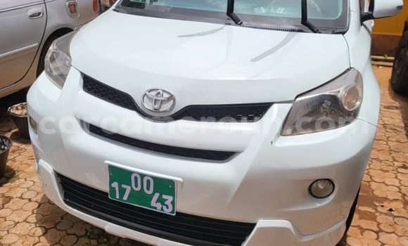 Buy Used Toyota Urban Cruiser White Car in Yaounde in Central Cameroon Buy Used Toyota Urban Cruiser White Car in Yaounde in Central Cameroon
