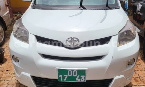 Buy Used Toyota Urban Cruiser White Car in Yaounde in Central Cameroon Buy Used Toyota Urban Cruiser White Car in Yaounde in Central Cameroon