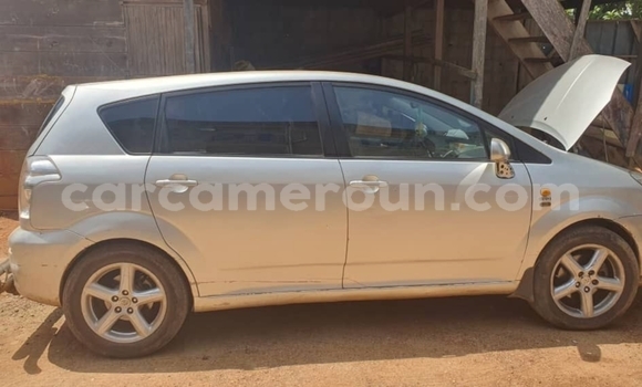 Buy Used Toyota Corolla Silver Car in Yaounde in Central Cameroon