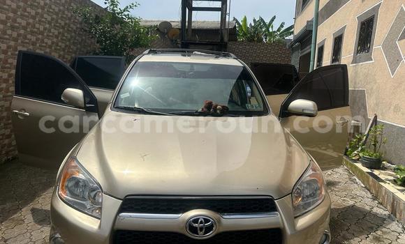 Sayi Na hannu Toyota RAV4 Sauran Mota in Douala a Ƙasar Kamaru