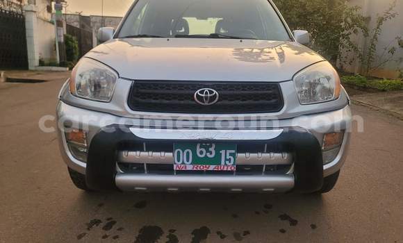 Buy Used Toyota RAV4 Silver Car in Yaounde in Central Cameroon Buy Used Toyota RAV4 Silver Car in Yaounde in Central Cameroon