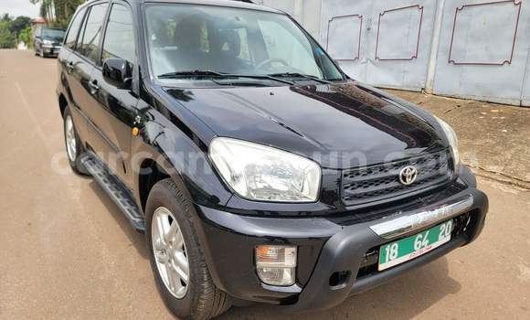 Buy Used Toyota RAV4 Black Car in Yaounde in Central Cameroon Buy Used Toyota RAV4 Black Car in Yaounde in Central Cameroon