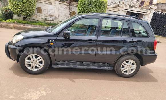 Buy Used Toyota RAV4 Black Car in Yaounde in Central Cameroon Buy Used Toyota RAV4 Black Car in Yaounde in Central Cameroon