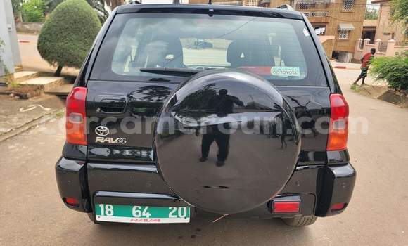 Buy Used Toyota RAV4 Black Car in Yaounde in Central Cameroon Buy Used Toyota RAV4 Black Car in Yaounde in Central Cameroon