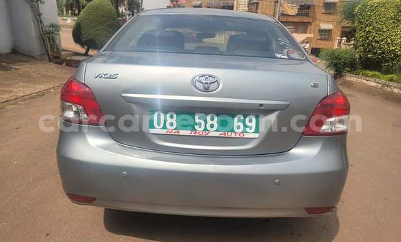 Buy Used Toyota Vios Silver Car in Yaounde in Central Cameroon Buy Used Toyota Vios Silver Car in Yaounde in Central Cameroon