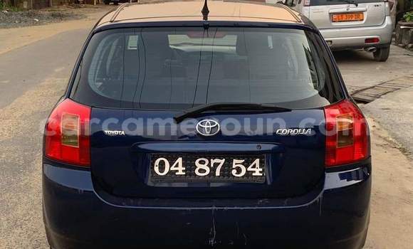 Buy Used Toyota Corolla Blue Car in Douala in Littoral Cameroon Buy Used Toyota Corolla Blue Car in Douala in Littoral Cameroon
