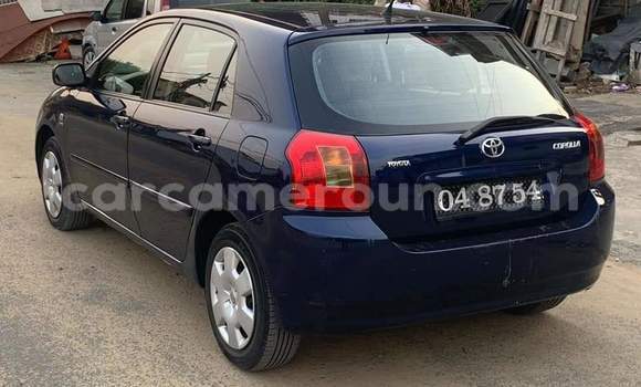 Buy Used Toyota Corolla Blue Car in Douala in Littoral Cameroon Buy Used Toyota Corolla Blue Car in Douala in Littoral Cameroon
