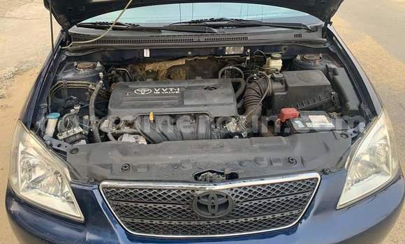 Buy Used Toyota Corolla Blue Car in Douala in Littoral Cameroon Buy Used Toyota Corolla Blue Car in Douala in Littoral Cameroon
