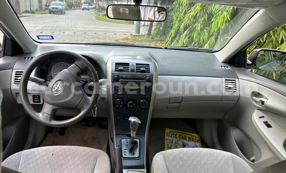 Sayi Imported Toyota Corolla Azurfa Mota in Douala a Ƙasar Kamaru Sayi Imported Toyota Corolla Azurfa Mota in Douala a Ƙasar Kamaru