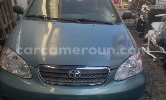 Acheter Occasion Voiture Toyota Corolla Autre à Douala, Littoral Cameroon