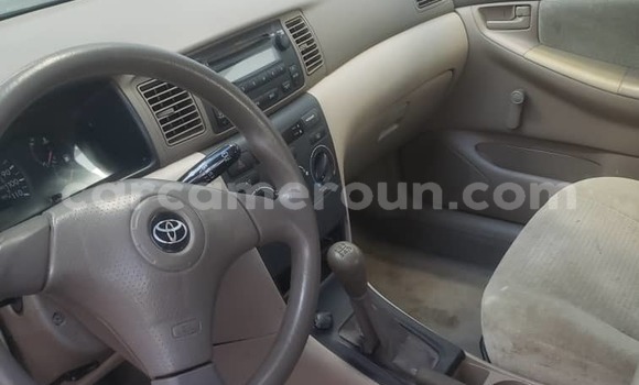 Sayi Na hannu Toyota Corolla Sauran Mota in Douala a Ƙasar Kamaru Sayi Na hannu Toyota Corolla Sauran Mota in Douala a Ƙasar Kamaru