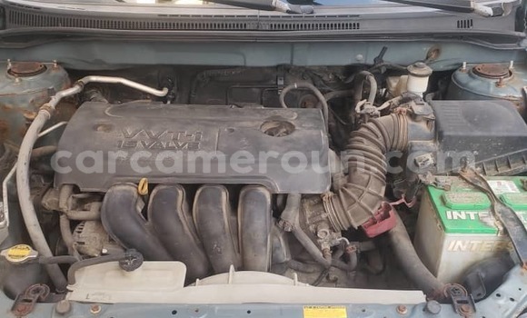 Sayi Na hannu Toyota Corolla Sauran Mota in Douala a Ƙasar Kamaru Sayi Na hannu Toyota Corolla Sauran Mota in Douala a Ƙasar Kamaru