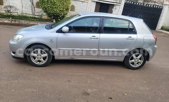 Buy Used Toyota Corolla Beige Car in Yaounde in Central Cameroon Buy Used Toyota Corolla Beige Car in Yaounde in Central Cameroon