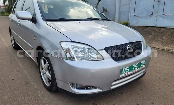 Buy Used Toyota Corolla Beige Car in Yaounde in Central Cameroon Buy Used Toyota Corolla Beige Car in Yaounde in Central Cameroon