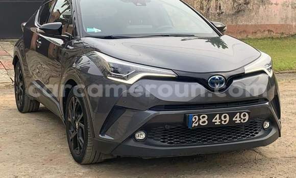 Buy Used Toyota C-HR Black Car in Douala in Littoral Cameroon Buy Used Toyota C-HR Black Car in Douala in Littoral Cameroon