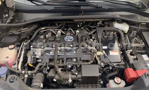 Buy Used Toyota C-HR Black Car in Douala in Littoral Cameroon Buy Used Toyota C-HR Black Car in Douala in Littoral Cameroon