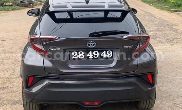 Buy Used Toyota C-HR Black Car in Douala in Littoral Cameroon Buy Used Toyota C-HR Black Car in Douala in Littoral Cameroon