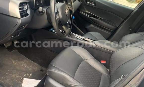 Buy Used Toyota C-HR Black Car in Douala in Littoral Cameroon Buy Used Toyota C-HR Black Car in Douala in Littoral Cameroon