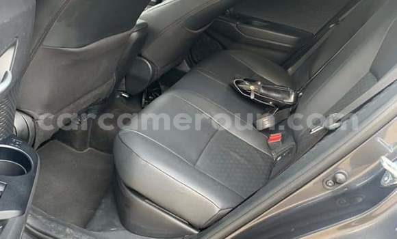 Buy Used Toyota C-HR Black Car in Douala in Littoral Cameroon Buy Used Toyota C-HR Black Car in Douala in Littoral Cameroon