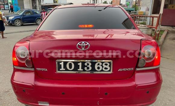 Buy Used Toyota Avensis Red Car in Douala in Littoral Cameroon Buy Used Toyota Avensis Red Car in Douala in Littoral Cameroon