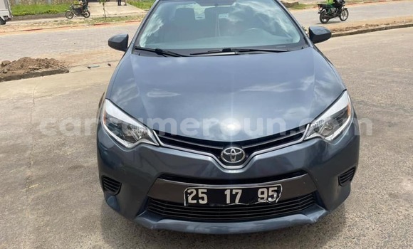 Buy Used Toyota Corolla Other Car in Yaounde in Central Cameroon