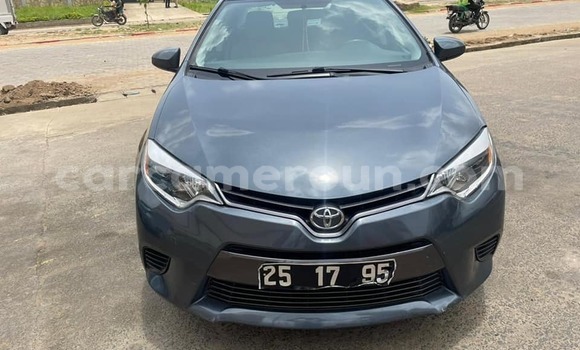 Sayi Na hannu Toyota Corolla Sauran Mota in Douala a Ƙasar Kamaru