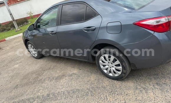 Acheter Occasion Voiture Toyota Corolla Autre à Douala, Littoral Cameroon Acheter Occasion Voiture Toyota Corolla Autre à Douala, Littoral Cameroon