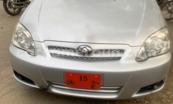 Acheter Import Voiture Toyota Allex Gris à Douala, Littoral Cameroon
