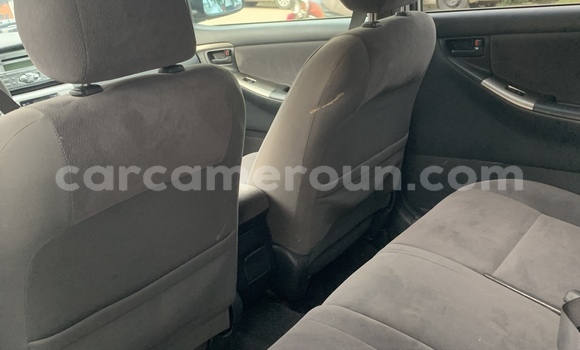 Acheter Import Voiture Toyota Allex Gris à Douala, Littoral Cameroon Acheter Import Voiture Toyota Allex Gris à Douala, Littoral Cameroon
