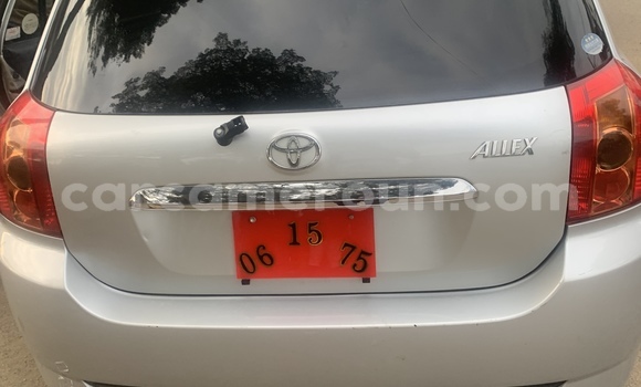 Acheter Import Voiture Toyota Allex Gris à Douala, Littoral Cameroon Acheter Import Voiture Toyota Allex Gris à Douala, Littoral Cameroon