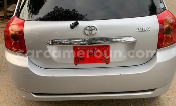 Acheter Occasion Voiture Toyota Allex Gris à Douala, Littoral Cameroon Acheter Occasion Voiture Toyota Allex Gris à Douala, Littoral Cameroon