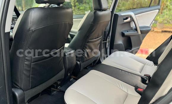 Sayi Na hannu Toyota RAV4 M Mota in Yaounde a Babban Kamaru Sayi Na hannu Toyota RAV4 M Mota in Yaounde a Babban Kamaru