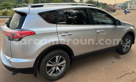 Sayi Na hannu Toyota RAV4 M Mota in Yaounde a Babban Kamaru Sayi Na hannu Toyota RAV4 M Mota in Yaounde a Babban Kamaru