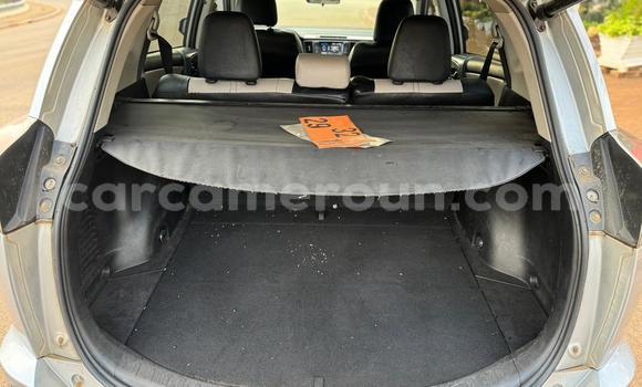 Sayi Na hannu Toyota RAV4 M Mota in Yaounde a Babban Kamaru Sayi Na hannu Toyota RAV4 M Mota in Yaounde a Babban Kamaru