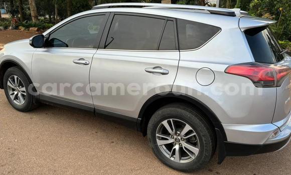 Sayi Na hannu Toyota RAV4 M Mota in Yaounde a Babban Kamaru Sayi Na hannu Toyota RAV4 M Mota in Yaounde a Babban Kamaru
