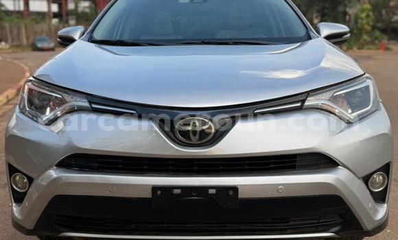 Sayi Na hannu Toyota RAV4 M Mota in Yaounde a Babban Kamaru Sayi Na hannu Toyota RAV4 M Mota in Yaounde a Babban Kamaru