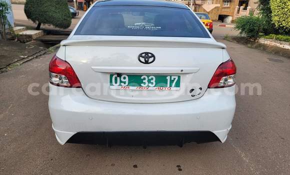 Buy Used Toyota Vios White Car in Yaounde in Central Cameroon Buy Used Toyota Vios White Car in Yaounde in Central Cameroon